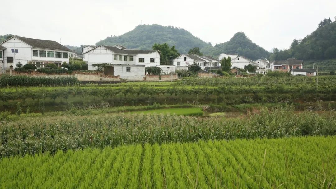 修文縣折溪村：備足“清涼套餐” 迎接八方來(lái)客
