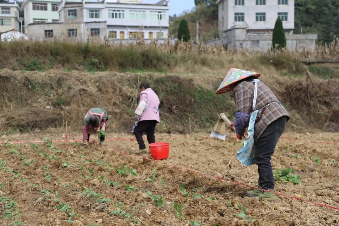 75151bce27cb4676517bc9d3e8e84e9e.jpg 75151bce27cb4676517bc9d3e8e84e9e.jpg