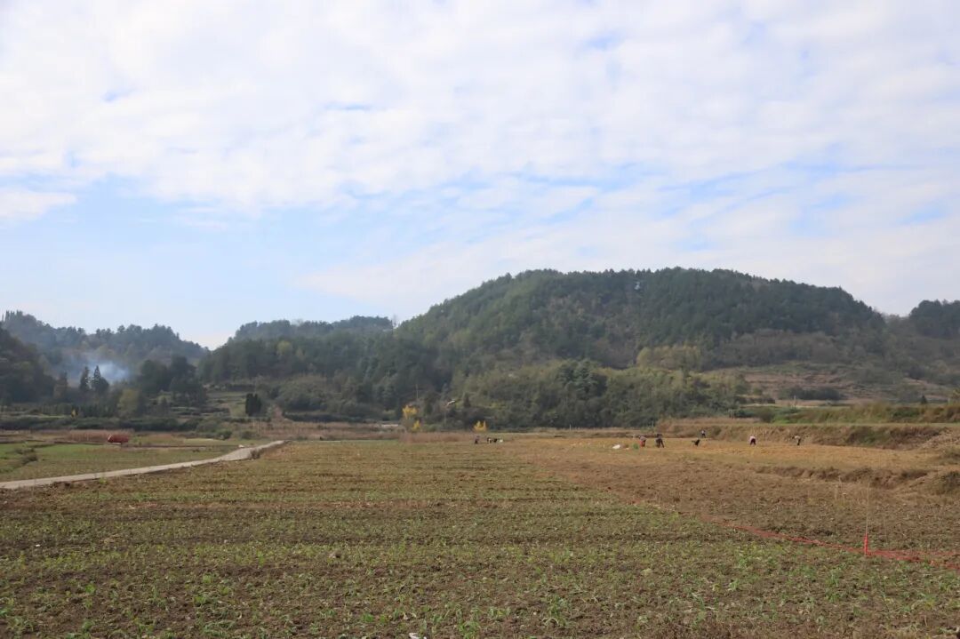 26dd1486840705f78a0c875d2a00f893.jpg 26dd1486840705f78a0c875d2a00f893.jpg